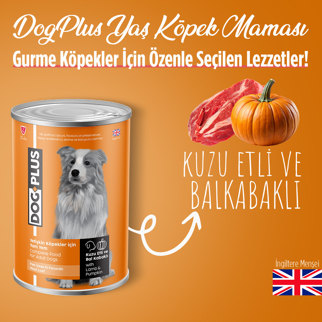DogPlus Pate  Kuzu Etli ve Balkabaklı Yetişkin Köpek Konserve Yaş Mama 395 Gr x 6 Adet – 3. görsel