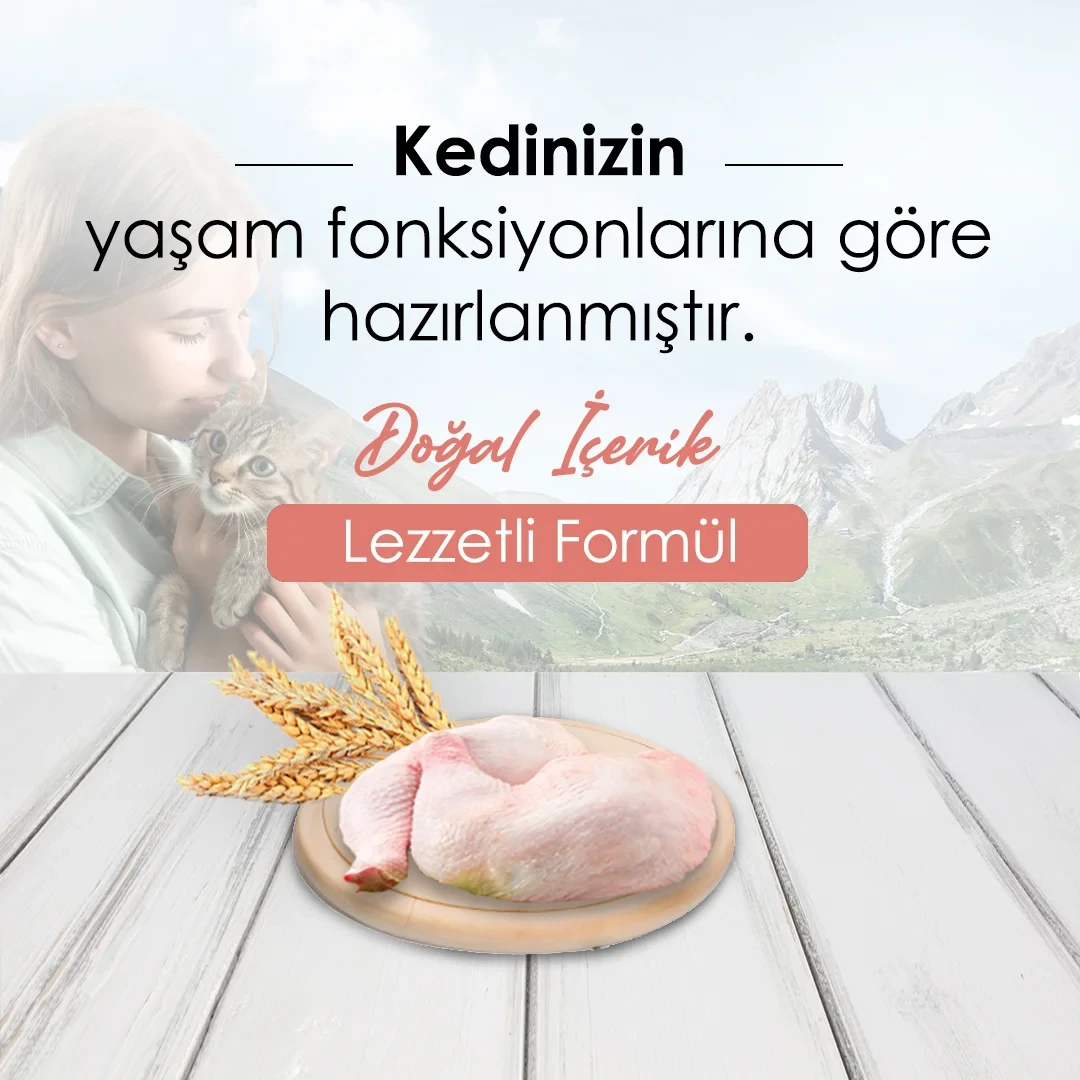 Mercy Tavuklu Yavru Kedi Maması 10 Kg – 2. görsel