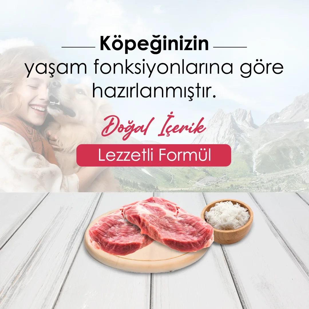 DogPlus Düşük Tahıllı Hipoalerjenik Kuzu Etli Yetişkin Köpek Maması 15 Kg – 2. görsel