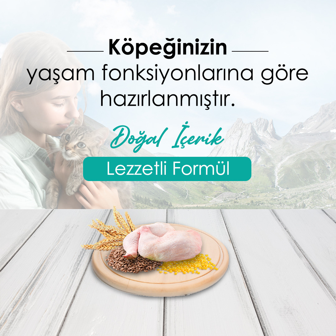 Milo Tavuklu Yetişkin Köpek Maması 15 Kg – 3. görsel