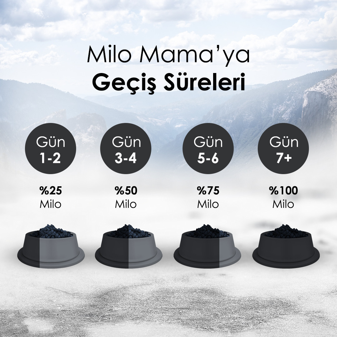 Milo Tavuklu Yetişkin Köpek Maması 15 Kg – 4. görsel