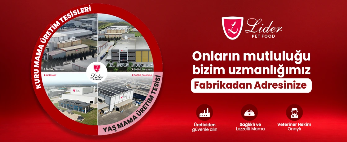 Hakkımızda