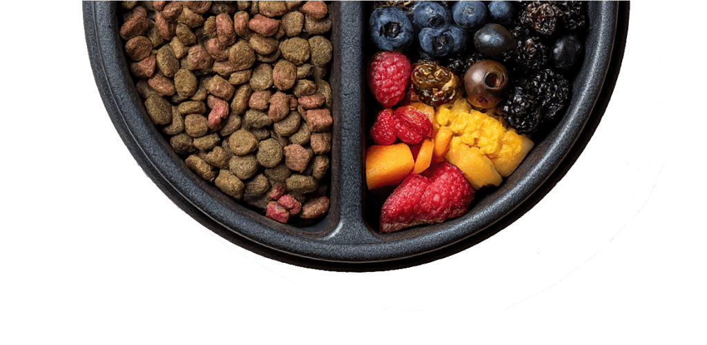 Happy pet with PriveMama food