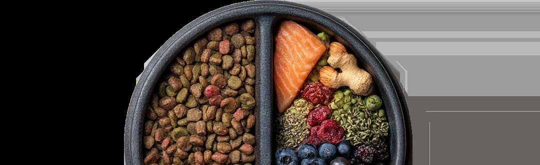 Prive Pet Food Bowl