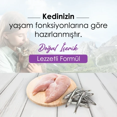 CatPlus Düşük Tahıllı Hipoalerjenik Tavuklu Hamsili Kısırlaştırılmış Kedi Maması 15 Kg