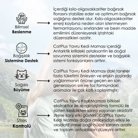 CatPlus Tavuklu Hamsili Yavru Kedi Maması 1,5 Kg