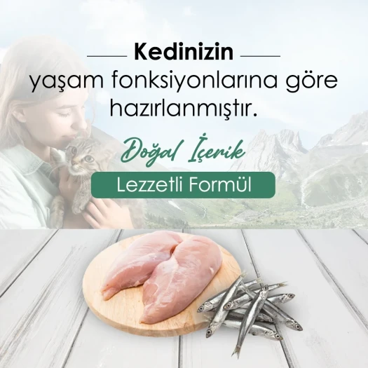 CatPlus Düşük Tahıllı Hipoalerjenik Tavuklu Hamsili Yetişkin Kedi Maması 15 Kg