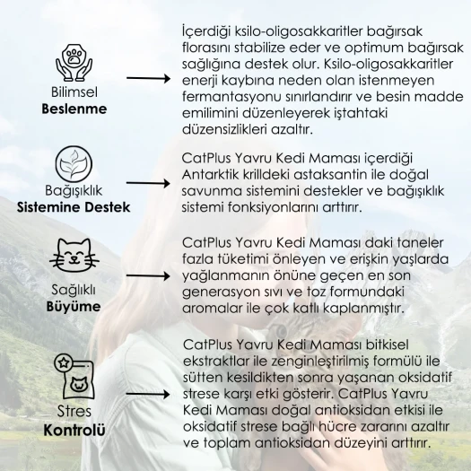 CatPlus Tavuklu Hamsili Yavru Kedi Maması 1,5 Kg