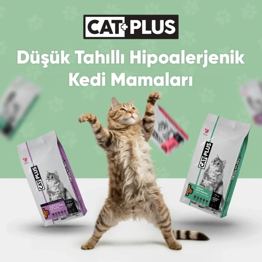 CatPlus Tavuklu Hamsili Yavru Kedi Maması 1,5 Kg