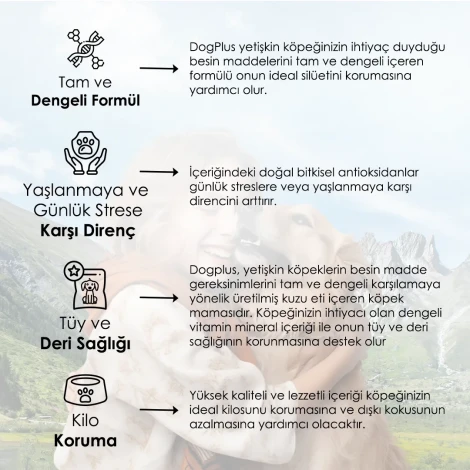 DogPlus Düşük Tahıllı Hipoalerjenik Kuzu Etli Pirinçli Yetişkin Köpek Maması 3 Kg