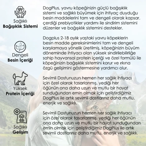DogPlus Kuzu Etli Pirinçli Yavru Köpek Maması 3 Kg x 2 Adet