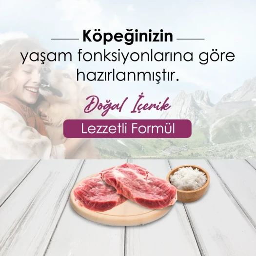 DogPlus Düşük Tahıllı Hipoalerjenik Kuzu Etli Pirinçli Yüksek Enerjili Yetişkin Köpek Maması 15 Kg