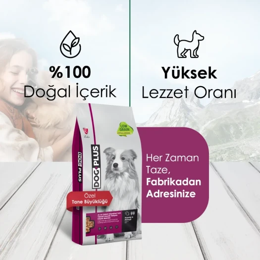 DogPlus Düşük Tahıllı Hipoalerjenik Kuzu Etli Pirinçli Yüksek Enerjili Yetişkin Köpek Maması 15 Kg