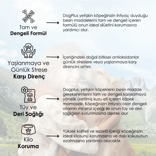 DogPlus Düşük Tahıllı Hipoalerjenik Kuzu Etli Pirinçli Yüksek Enerjili Yetişkin Köpek Maması 15 Kg