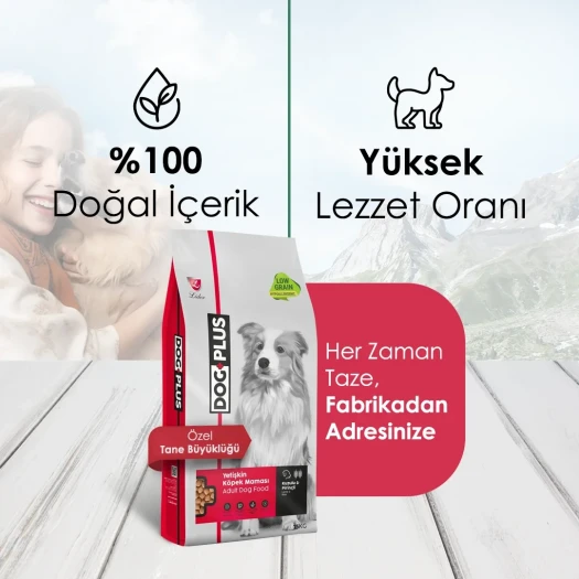 DogPlus Düşük Tahıllı Hipoalerjenik Kuzu Etli Pirinçli Yetişkin Köpek Maması 15 Kg
