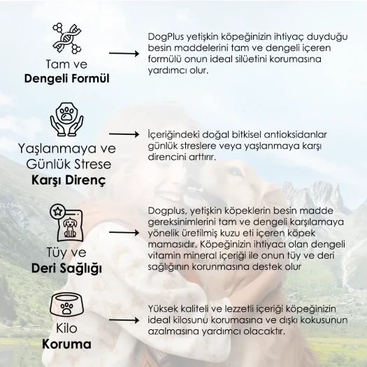 DogPlus Düşük Tahıllı Hipoalerjenik Kuzu Etli Pirinçli Yetişkin Köpek Maması 3 Kg