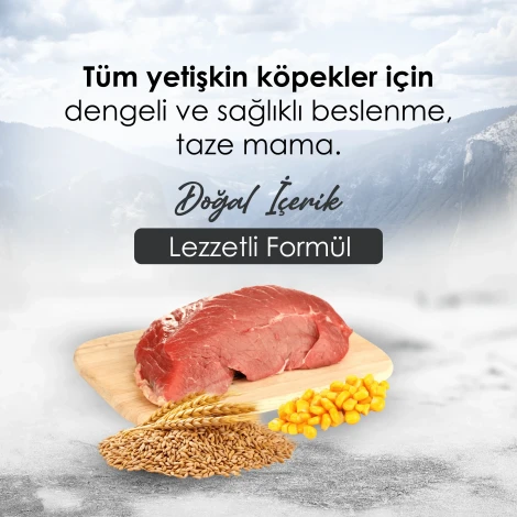 Gofrette Biftekli Yetişkin Köpek Maması 15 Kg