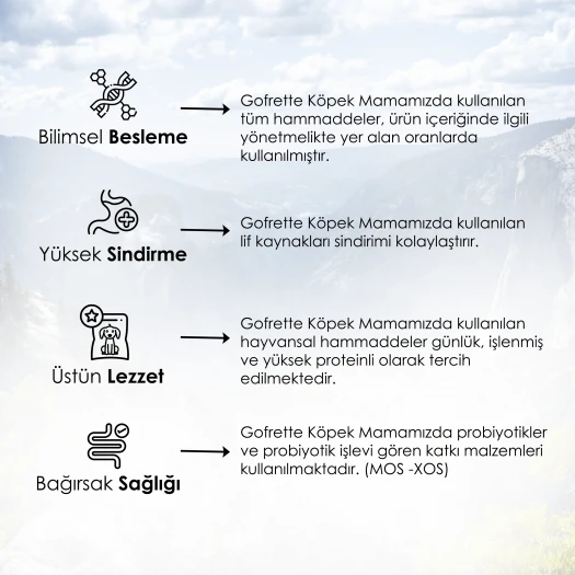 Gofrette Biftekli Yetişkin Köpek Maması 15 Kg