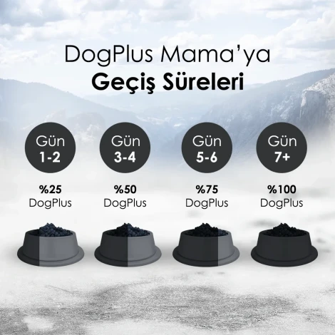DogPlus Düşük Tahıllı Hipoalerjenik Kuzu Etli Pirinçli Yetişkin Köpek Maması 3 Kg