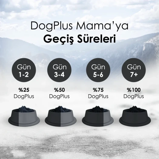 DogPlus Düşük Tahıllı Hipoalerjenik Kuzu Etli Pirinçli Yetişkin Köpek Maması 3 Kg