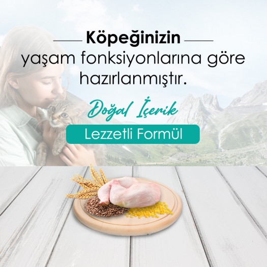 Milo Tavuklu Yetişkin Köpek Maması 15 Kg