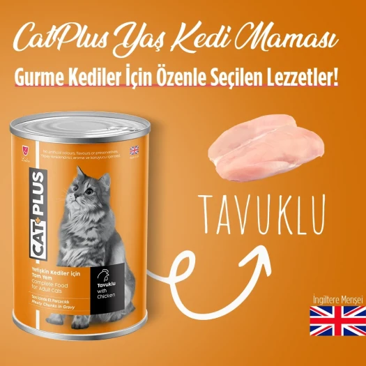CatPlus Sos İçinde Et Parçacıklı Tavuklu Yetişkin Kedi Konserve Yaş Mama 400 Gr x 6 Adet