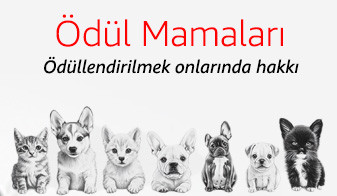 Ödül Mamaları