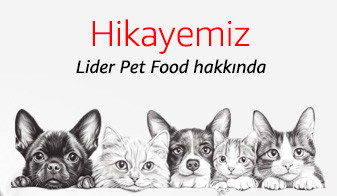 Hikayemiz