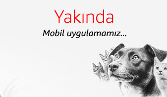Mobil Uygulamamız Çok Yakında Sizlerle