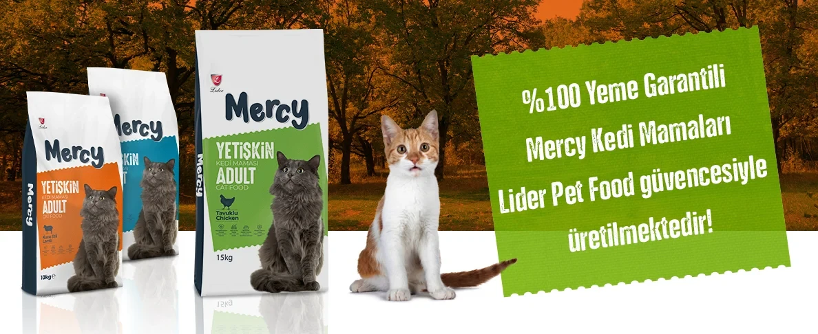 Mercy Kedi Mamaları