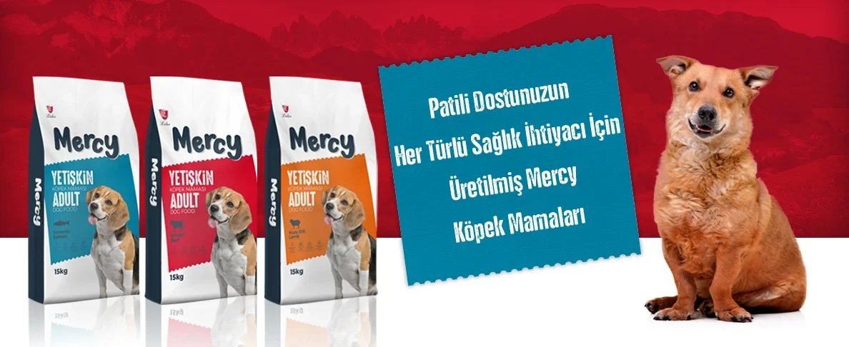 Mercy Köpek Mamaları